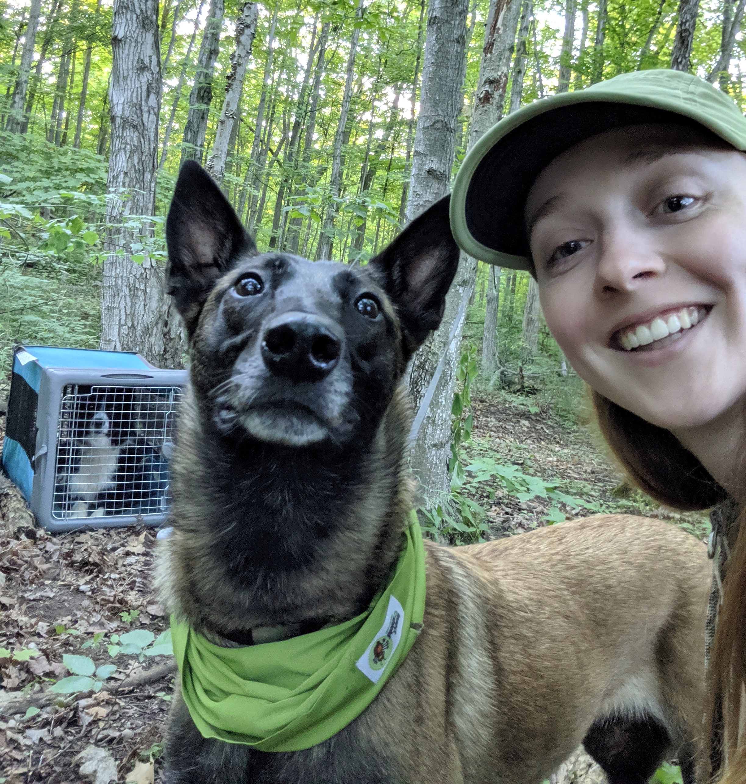 Bumble Bee Conservation