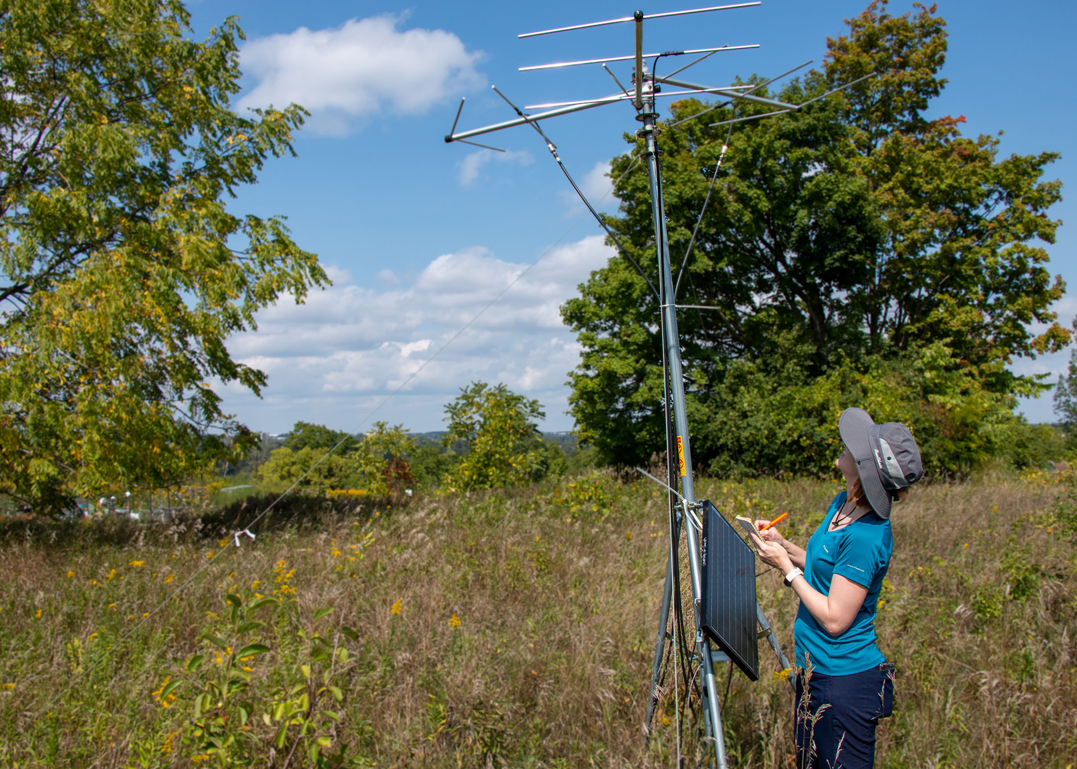 Amanda inspecting a radiotelemetry tower